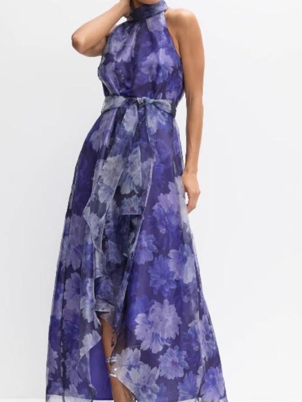 Melanie Lyne Orgnaza Dress